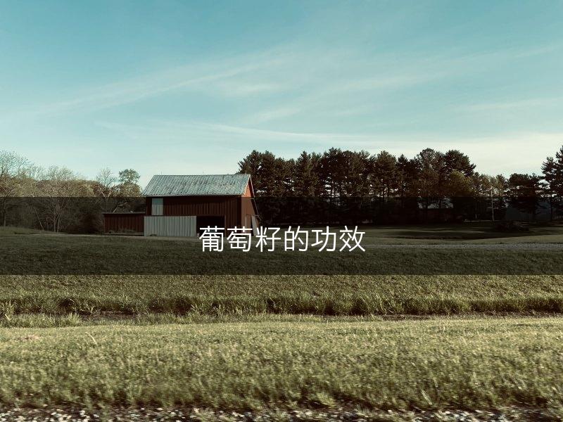 葡萄籽的功效(图1)