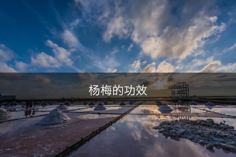 杨梅的功效(图1)