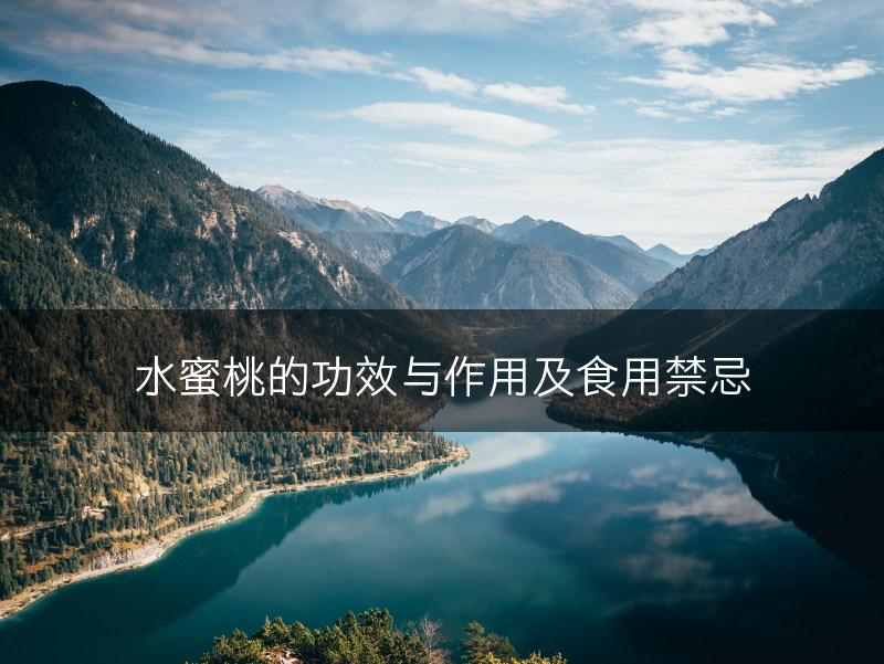 水蜜桃的功效与作用及食用禁忌(图1)