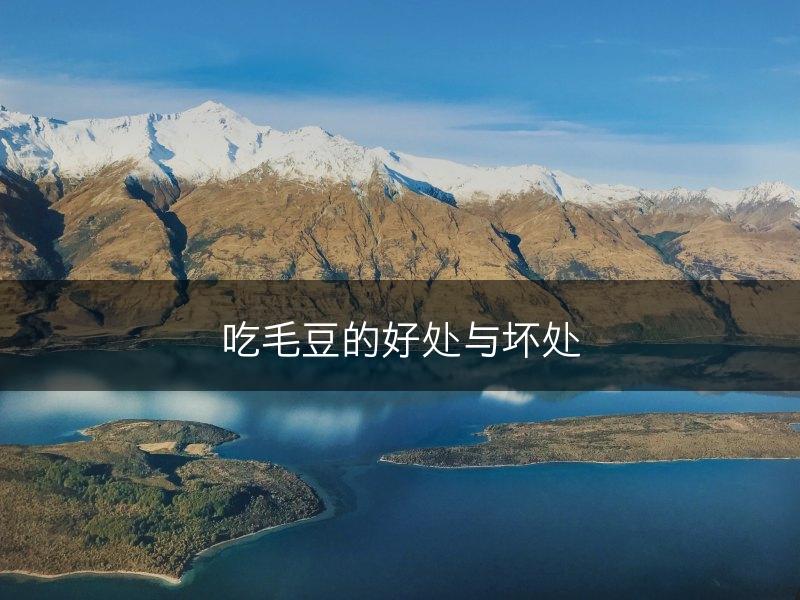 吃毛豆的好处与坏处(图1)