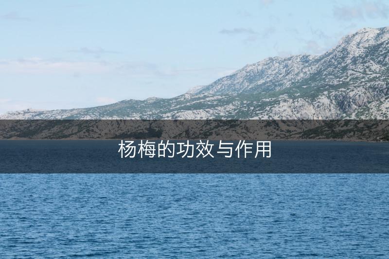 杨梅的功效与作用(图1)