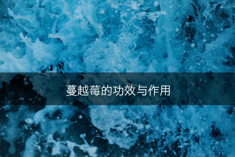 蔓越莓的功效与作用(图1)