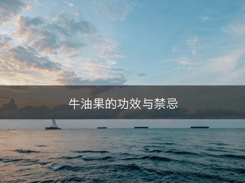牛油果的功效与禁忌(图1)