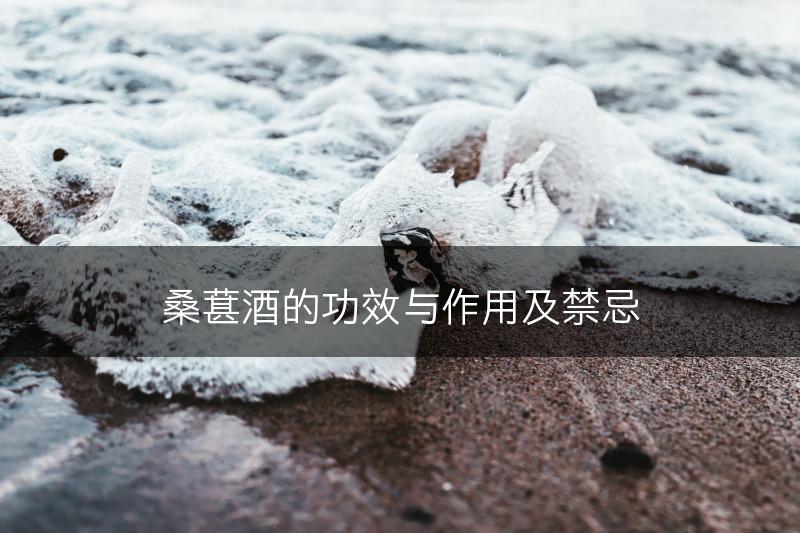 桑葚酒的功效与作用及禁忌(图1)