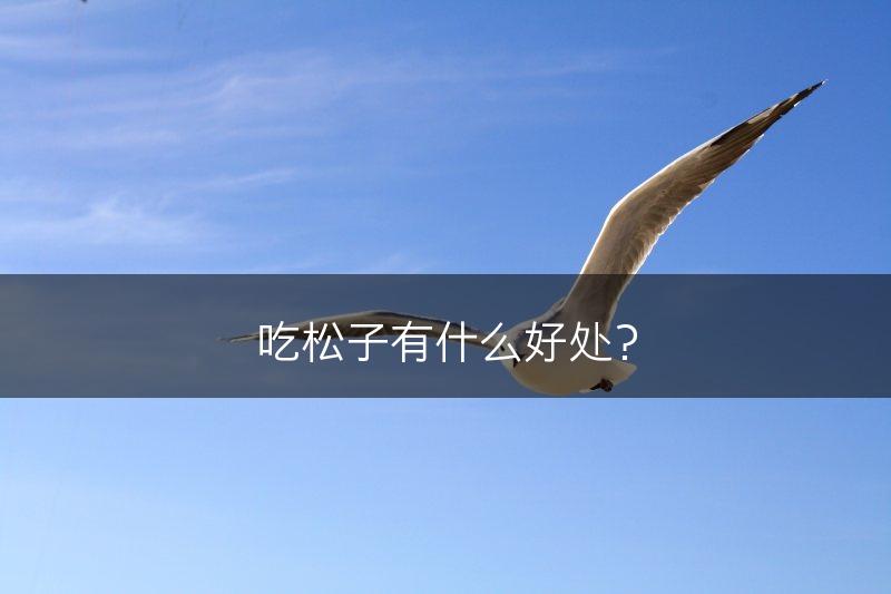 吃松子有什么好处？(图1)