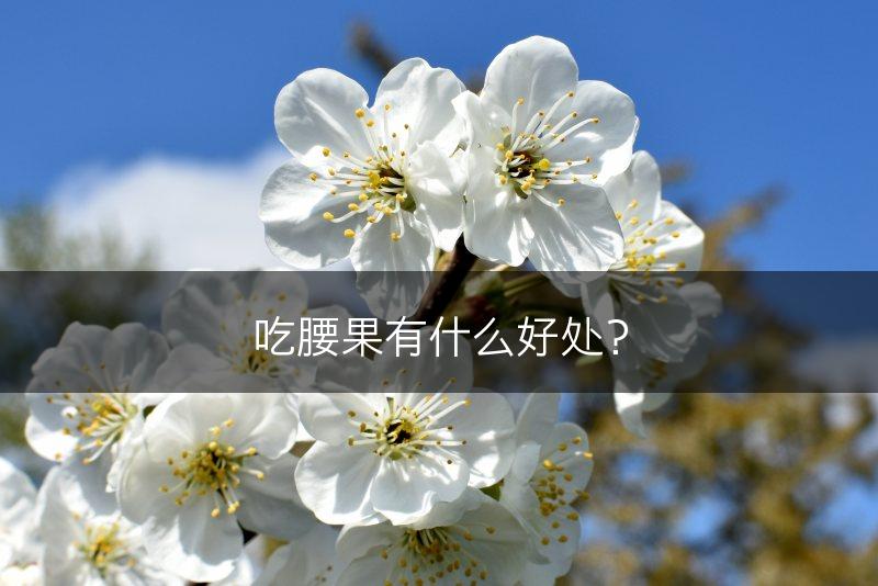 吃腰果有什么好处？(图1)