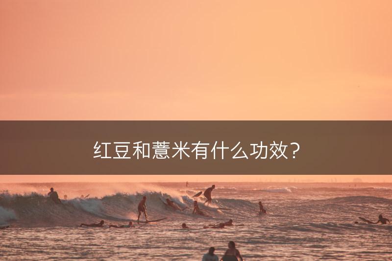 红豆和薏米有什么功效？(图1)