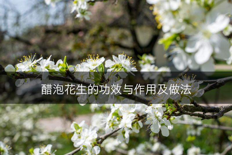 醋泡花生的功效与作用及做法(图1)