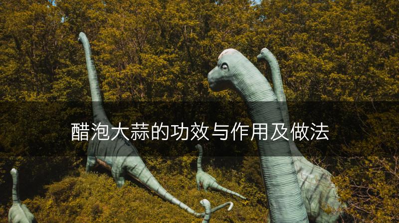 醋泡大蒜的功效与作用及做法(图1)