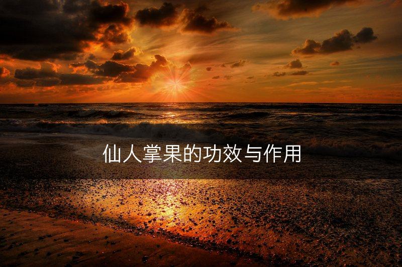 仙人掌果的功效与作用(图1)