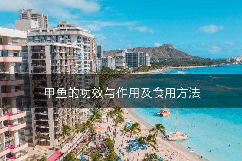 甲鱼的功效与作用及食用方法(图1)