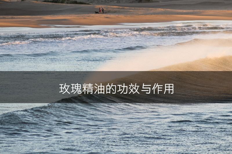 玫瑰精油的功效与作用(图1)