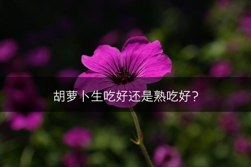 胡萝卜生吃好还是熟吃好？(图1)