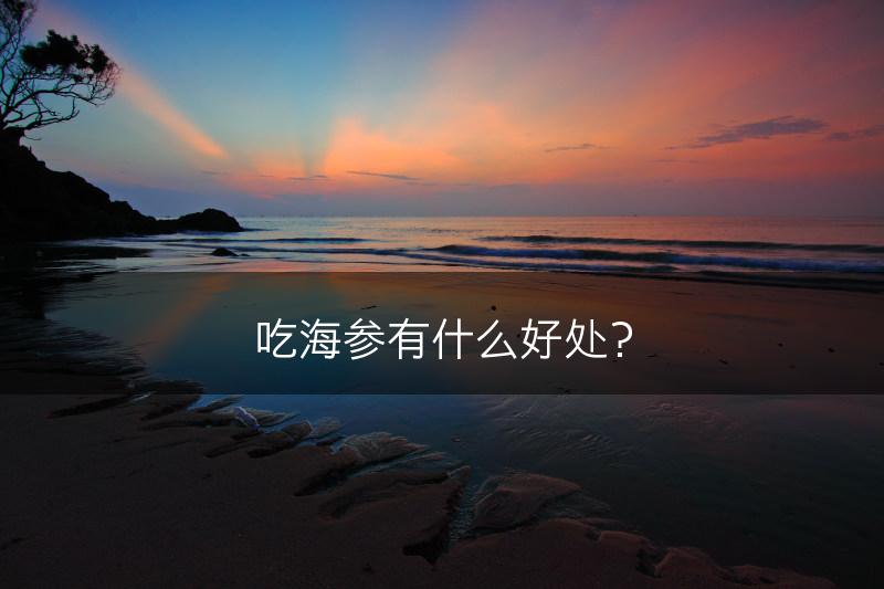 吃海参有什么好处？(图1)