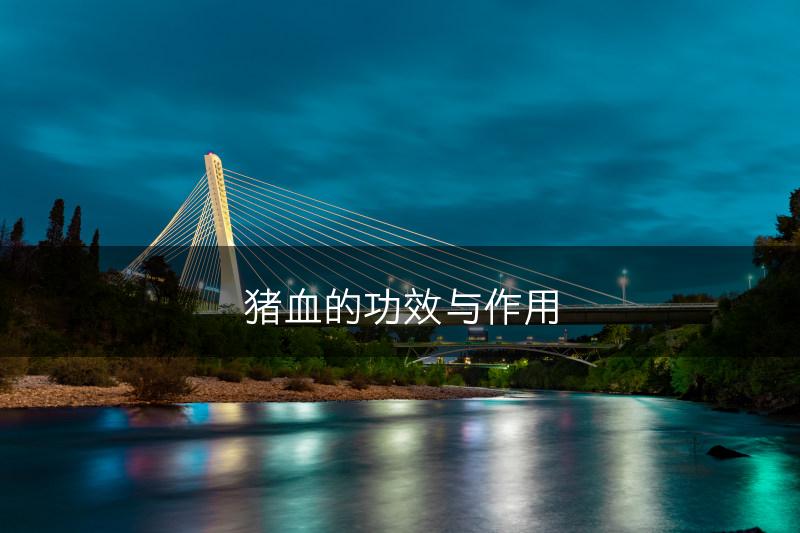 猪血的功效与作用(图1)