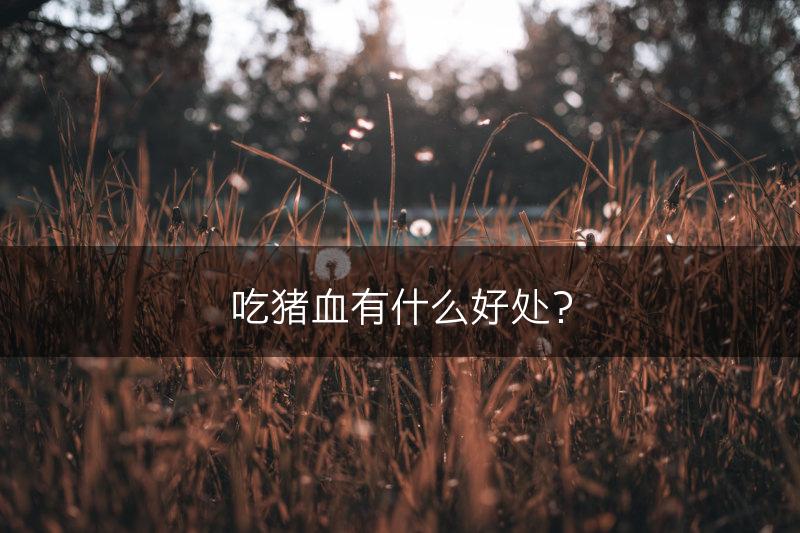吃猪血有什么好处？(图1)