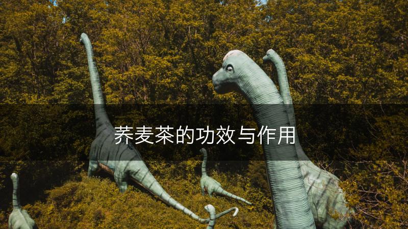 荞麦茶的功效与作用(图1)