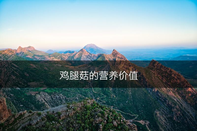 鸡腿菇的营养价值(图1)