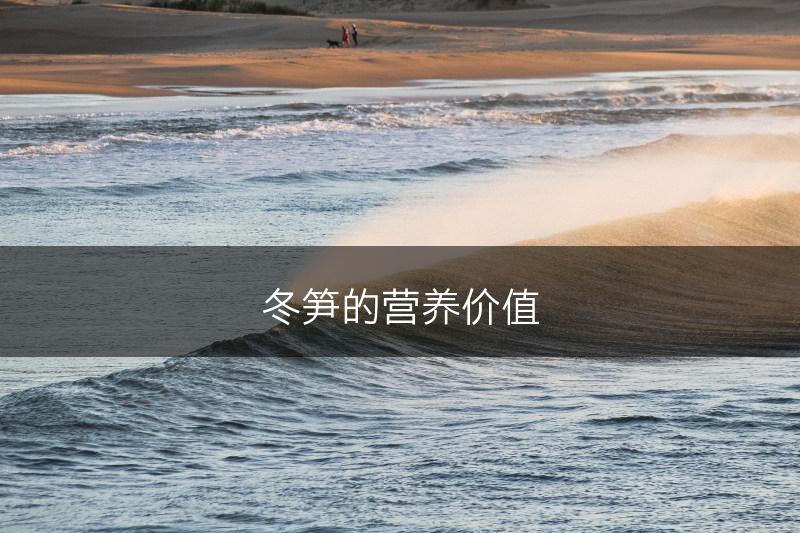 冬笋的营养价值(图1)