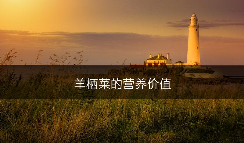 羊栖菜的营养价值(图1)