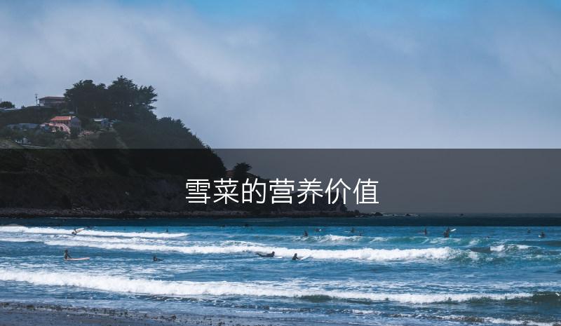雪菜的营养价值(图1)