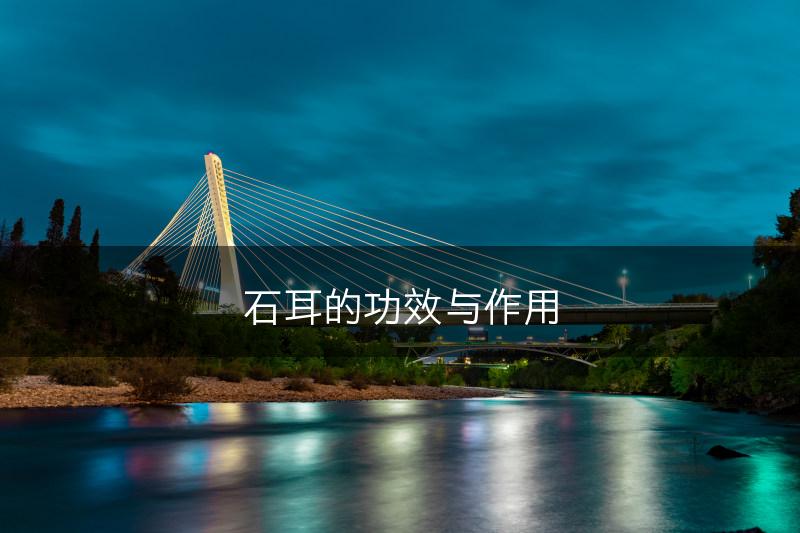 石耳的功效与作用(图1)