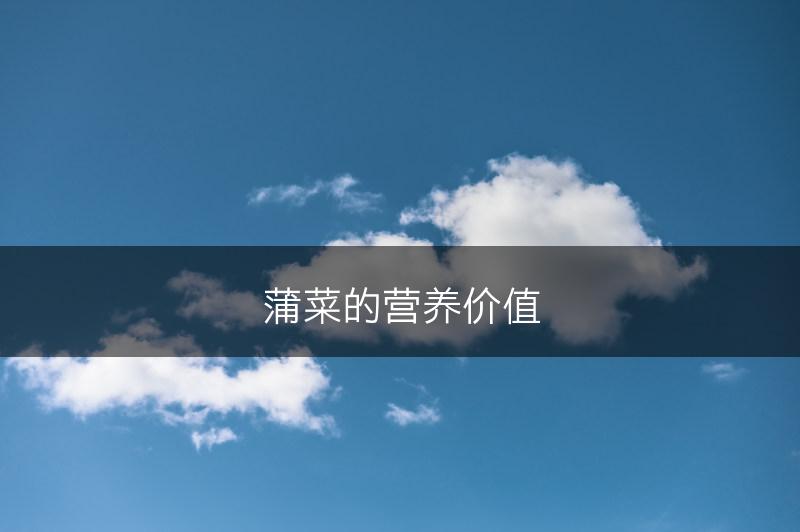 蒲菜的营养价值(图1)
