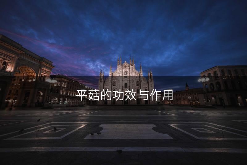 平菇的功效与作用(图1)