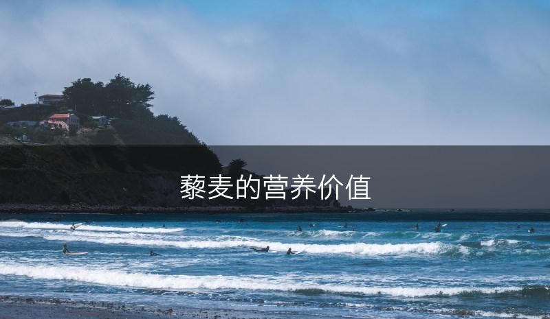 藜麦的营养价值(图1)