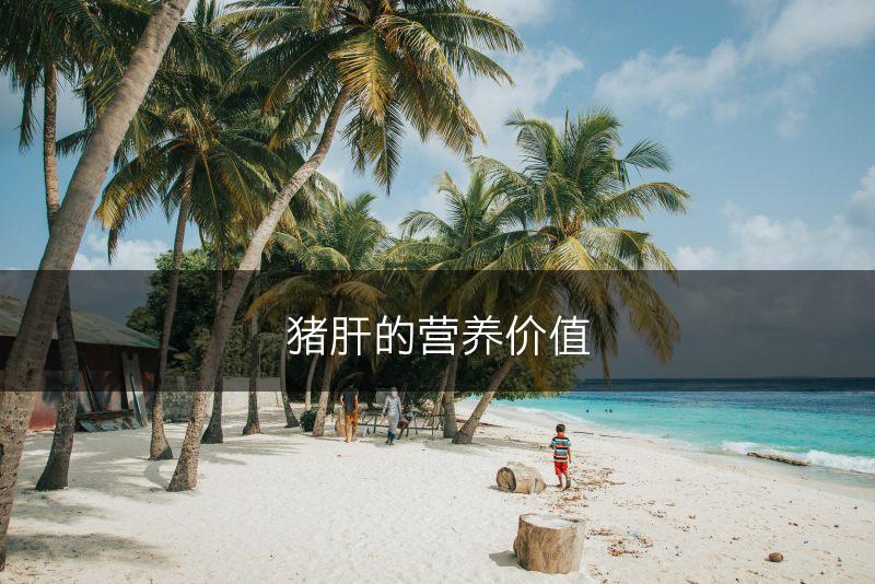 猪肝的营养价值(图1)