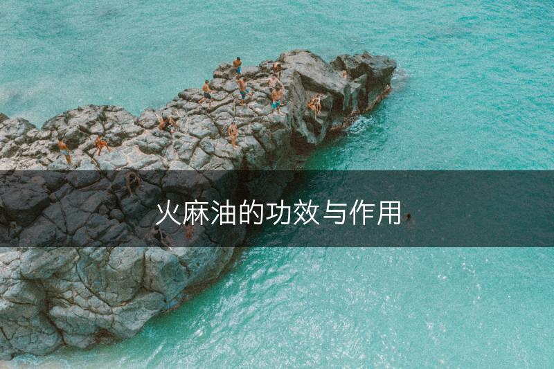 火麻油的功效与作用(图1)