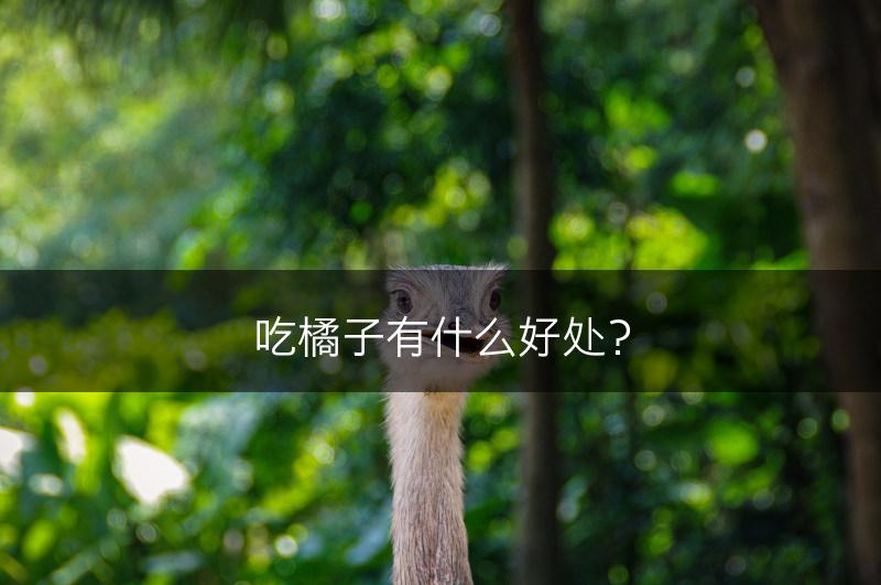 吃橘子有什么好处？(图1)