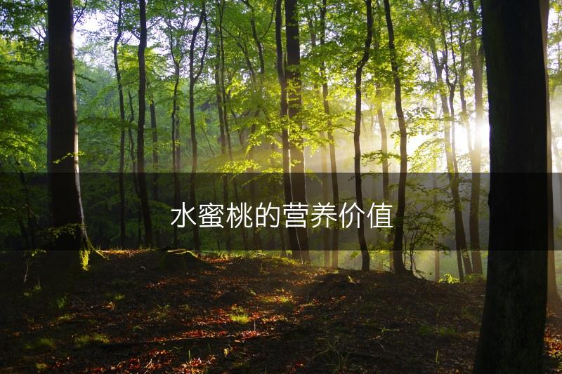 水蜜桃的营养价值(图1)